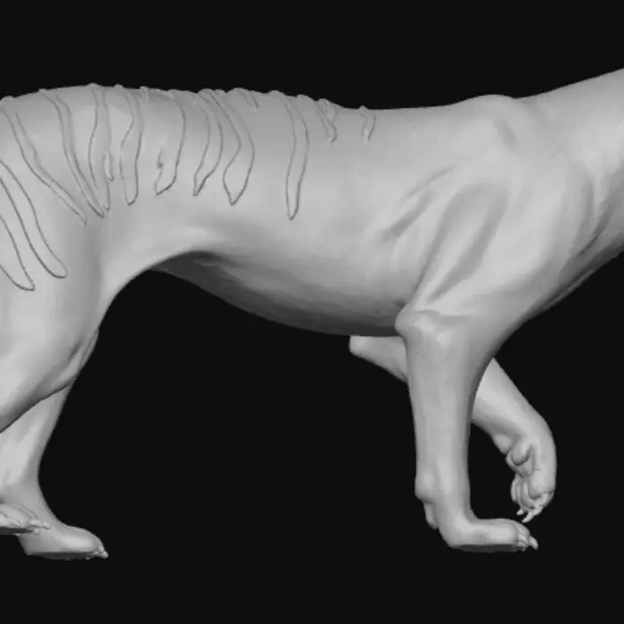 3D model for Tasmanian Tiger Stroll