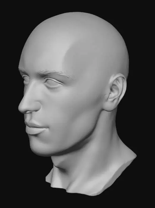 3D model for Digital Grid Face