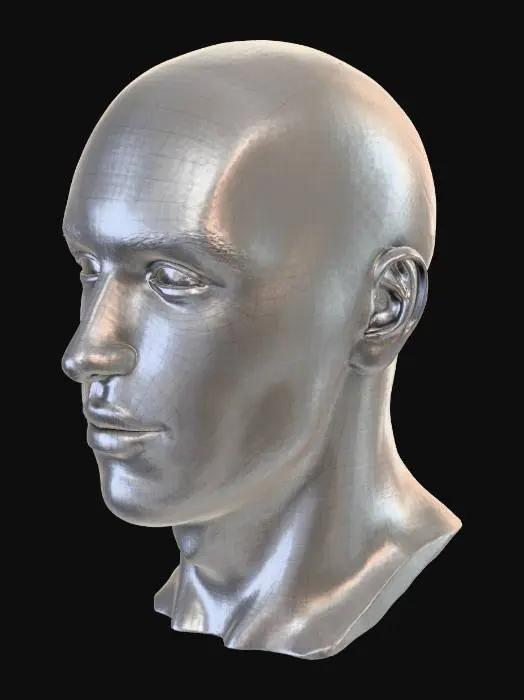 3D model for Digital Grid Face