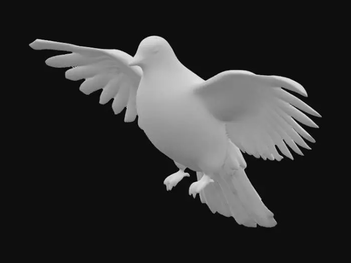 3D model for A white dove flies toward the camera, direct view  flight animation, flapping its wings, approaching the camera