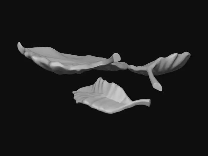 3D model for Autumn Leaves