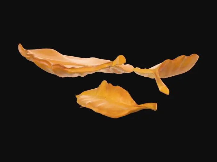 3D model for Autumn Leaves