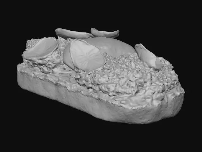 3D model for Gourmet Avocado Toast