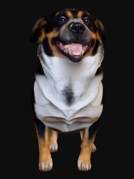 3D model for Moms Garden Joy