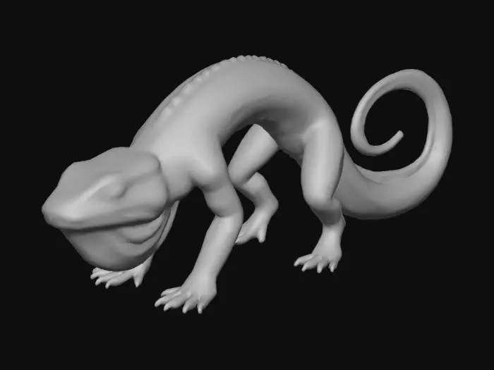 3D model for salamander with 5 toes on each foot