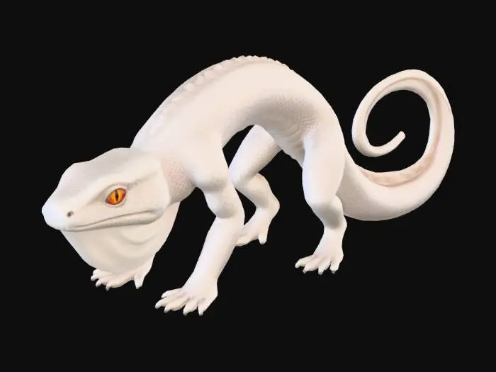 3D model for salamander with 5 toes on each foot