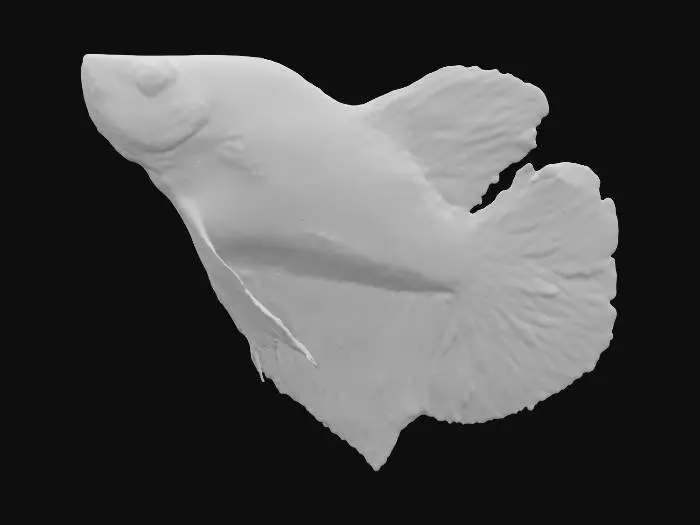 3D model for Golden Grace