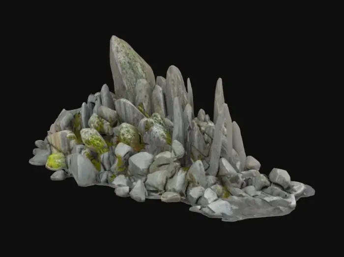 3D model for Polodowcowe głazy narzutowe z granitu oraz rumowisko skalne i słupy kamienne 