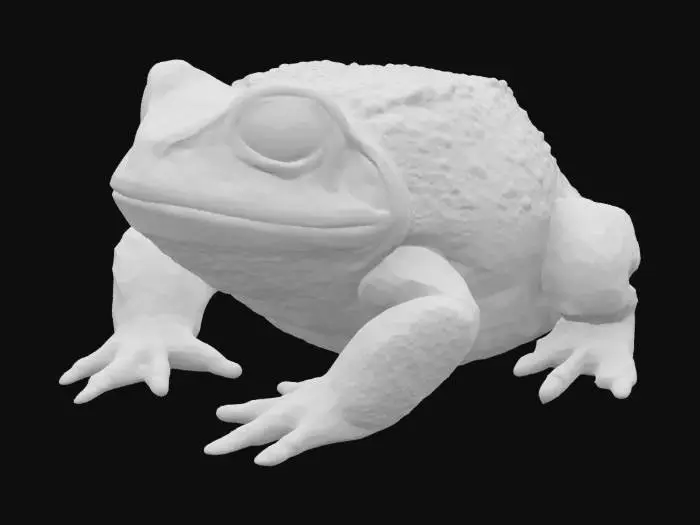 3D model for Ropucha szara