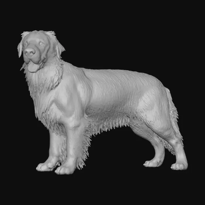 3D model for Golden Stance