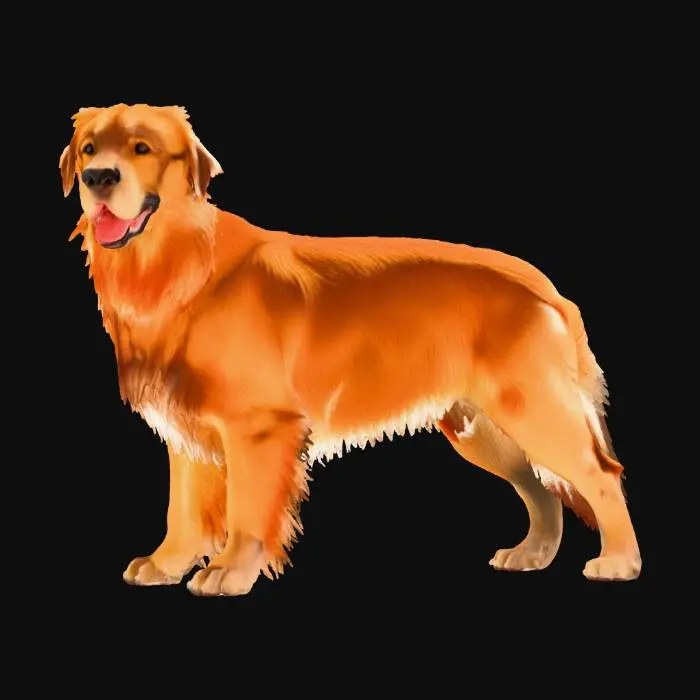 3D model for Golden Stance