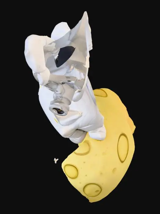 3D model for AstroSnapper