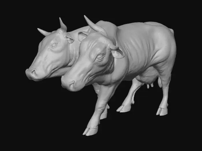 3D model for Twin Cows Shadows