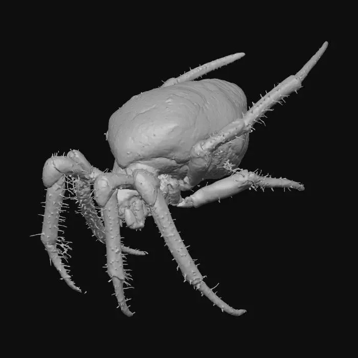 3D model for Spider in the Web