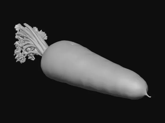 3D model for Karotte