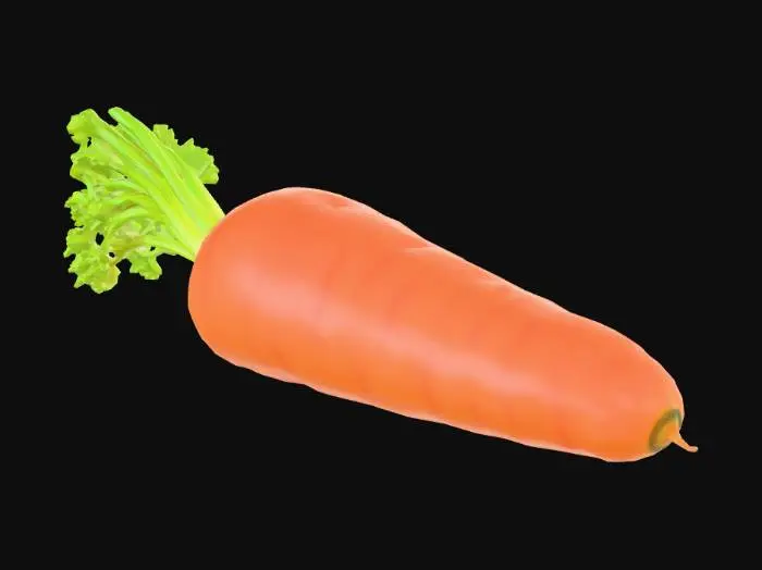 3D model for Karotte