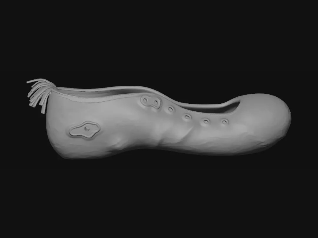 shoe