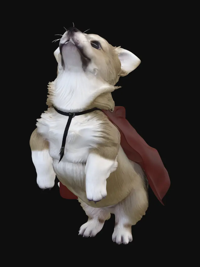 corgi