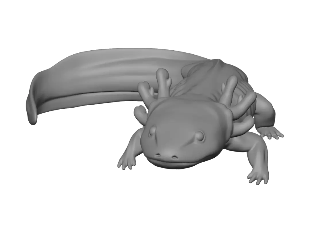axolotl