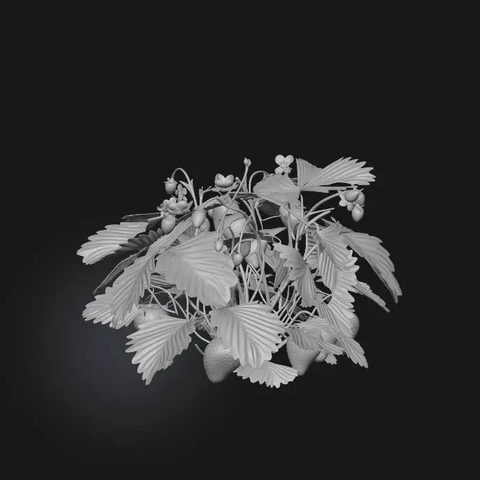 3D model for strawberry bush