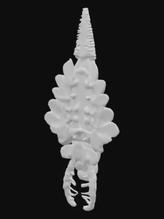 3D model for Mosura Model