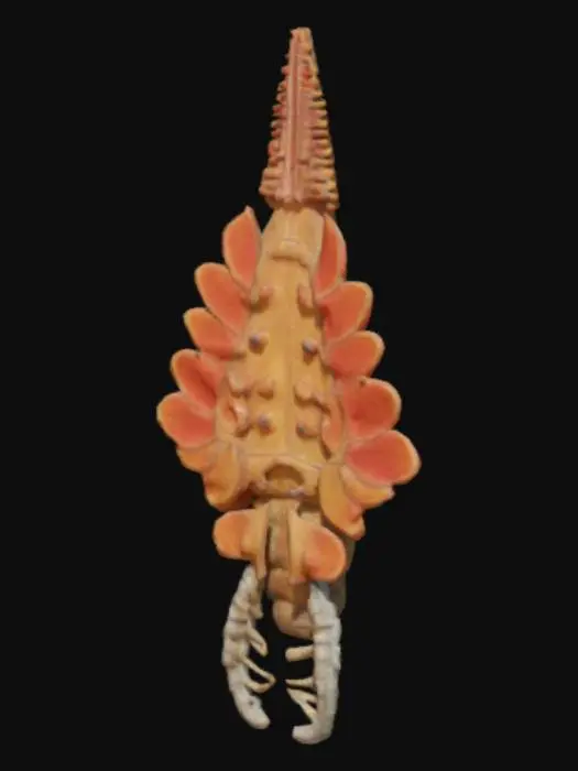 3D model for Mosura Model