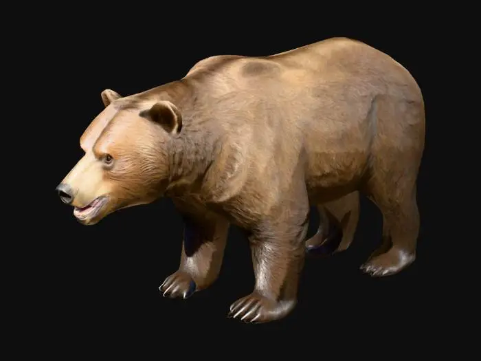 3D model for Highly detailed semi-realistic Grizzly Bear