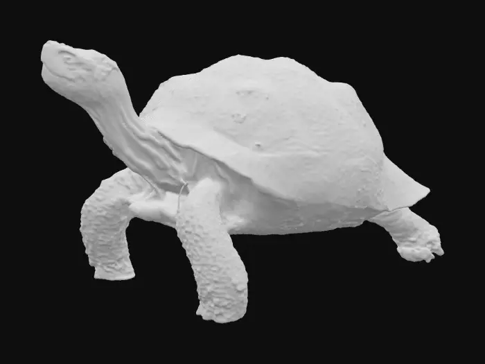 3D model for Tortoise Stroll