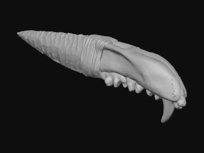 3D model for Fangblade Dagger