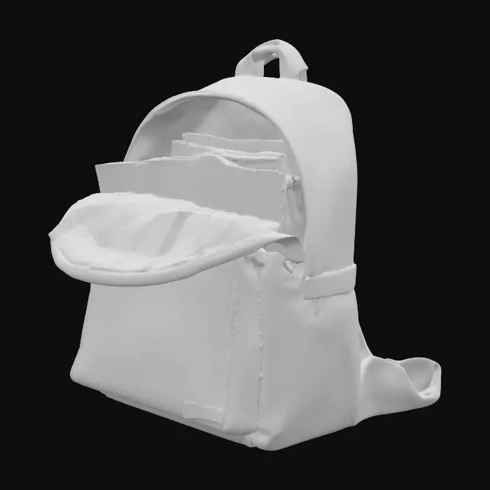 3D model for Backpack Fortune