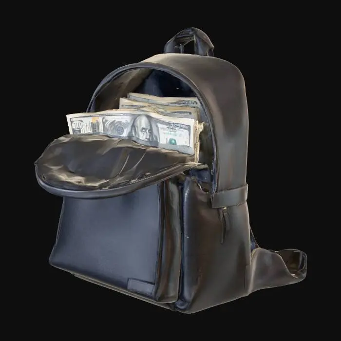 3D model for Backpack Fortune
