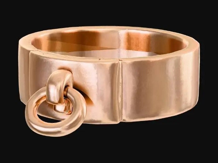 3D model for Golden Collar with Ring