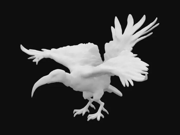 3D model for Epic full body aggressive looking flying bearded vulture
