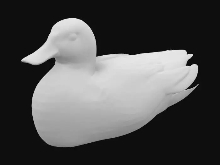 3D model for Mallard duck