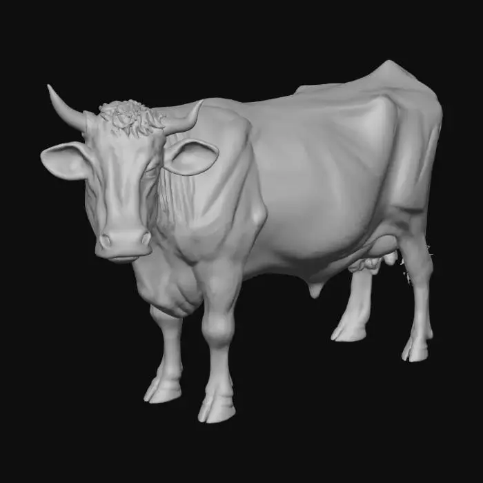3D model for Cosmic Bovine Enigma