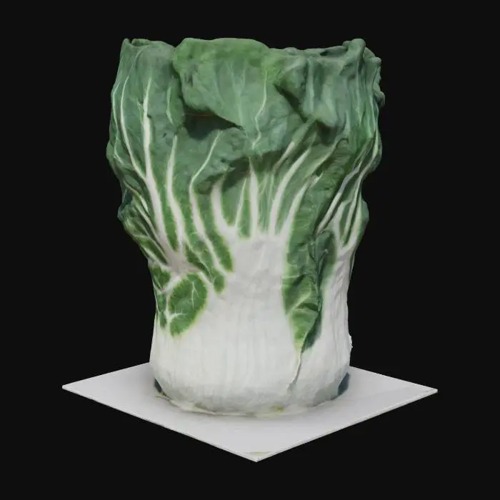 3D model for Giant Cabbage Monument