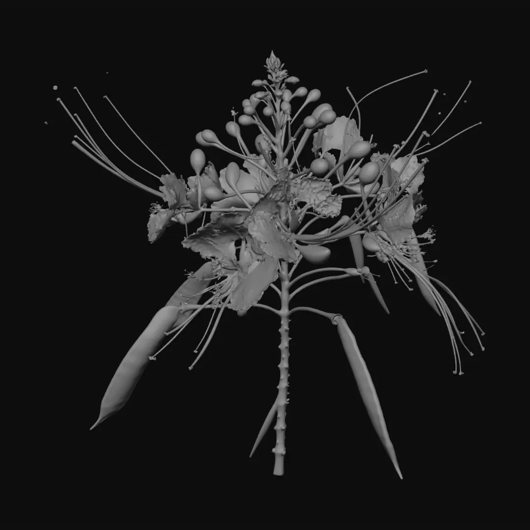 3D model for Crimson Flame Bloom
