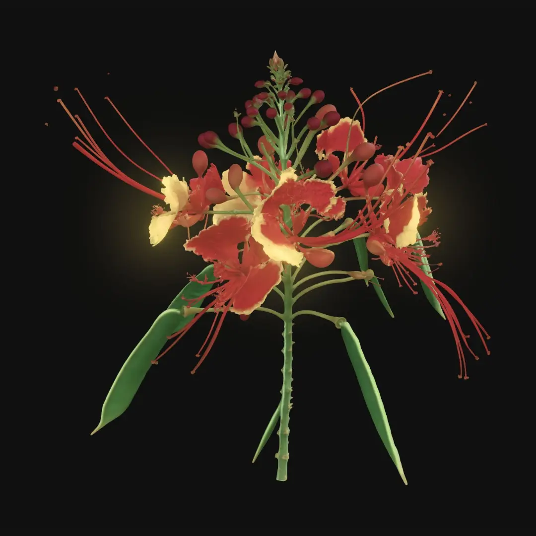 3D model for Crimson Flame Bloom