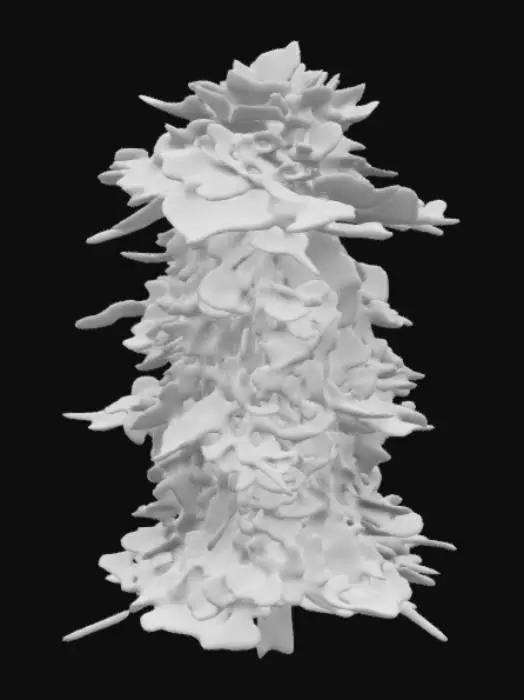 3D model for Green Creature Design