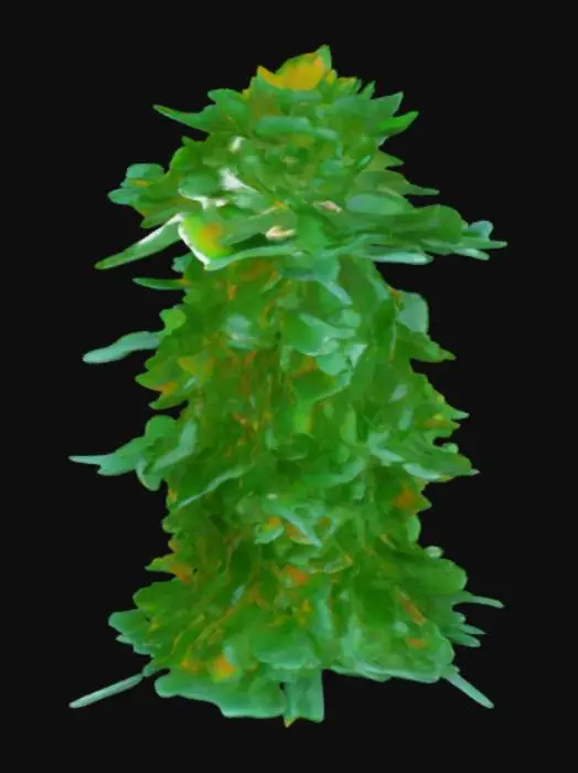 3D model for Green Creature Design