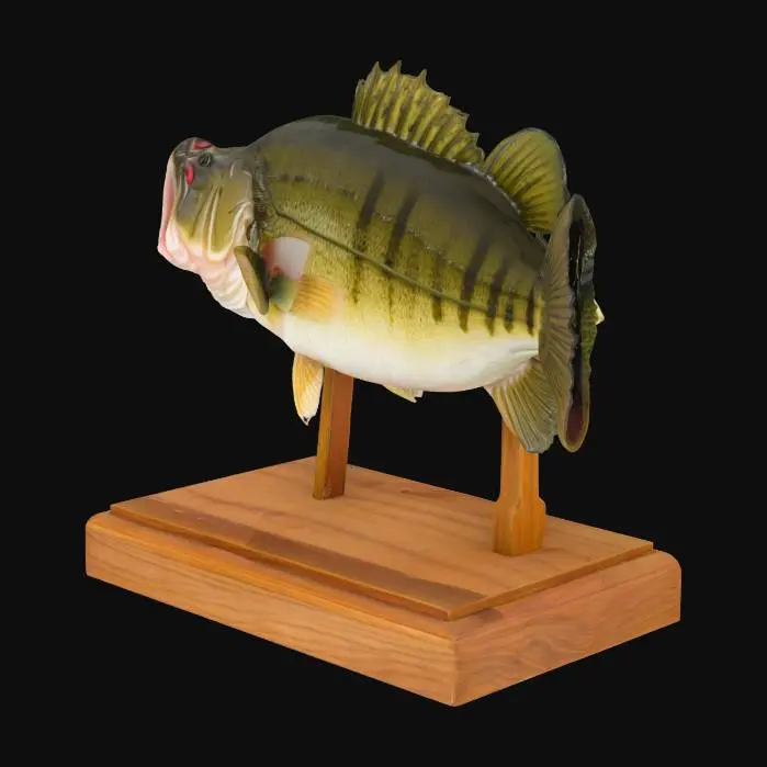 3D model for a bass fish on a stand