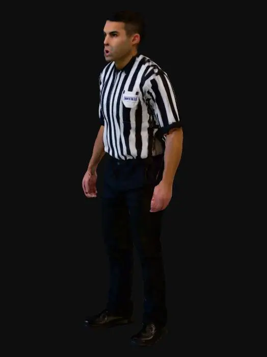 3D model for Referee in Action