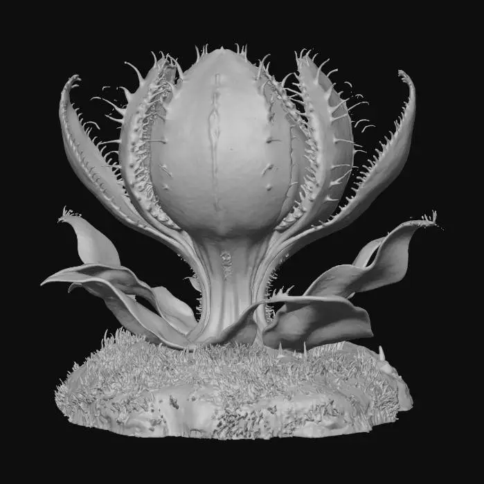 3D model for Venus Blossom