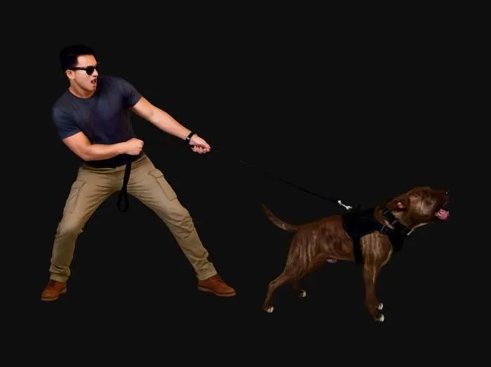 3D model for Leash Tug Showdown