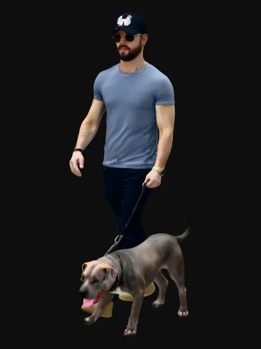 3D model for Stroll with a Gray Dog