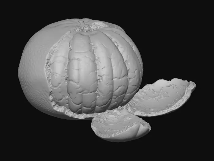 3D model for Half peeled orange