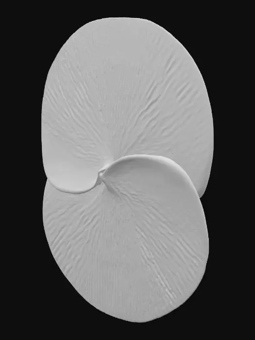 3D model for Ethereal Spirals