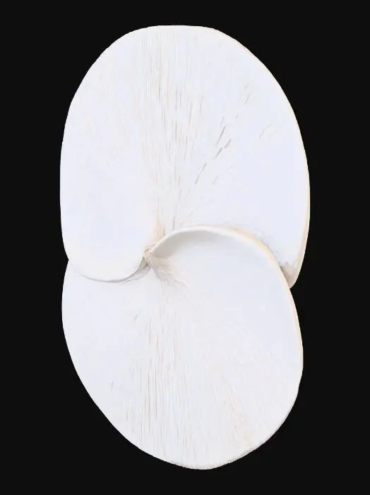 3D model for Ethereal Spirals