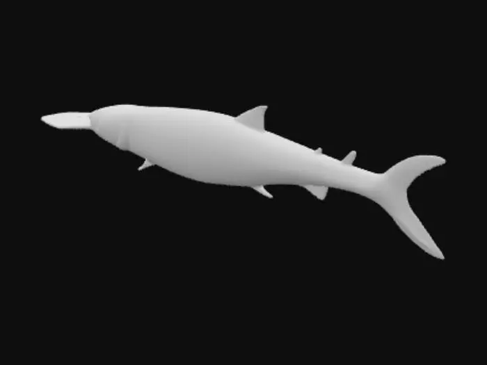 3D model for Minnow shaped fishing lure without hooks 
