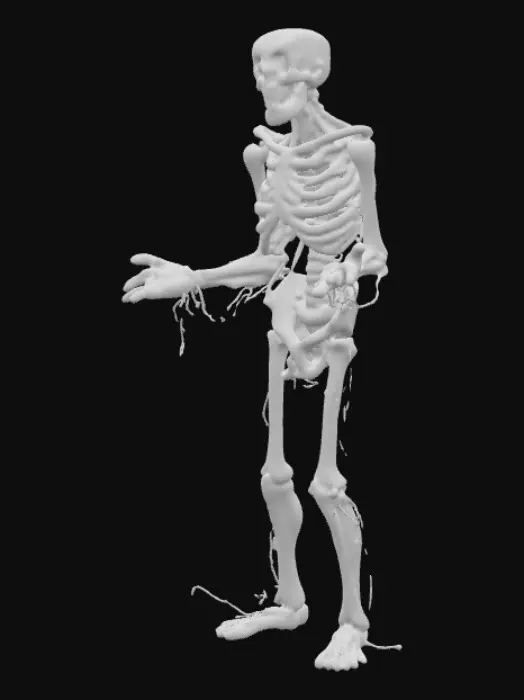 3D model for Zombie, stylisé, asset de jeu, he Walking dead, poli, rugueux, organique, utra réaliste, T-pose, corps entier, gore